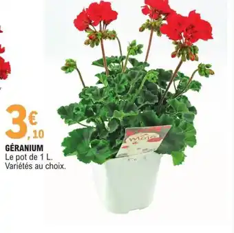 E.Leclerc Géranium offre