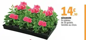 E.Leclerc Géranium offre