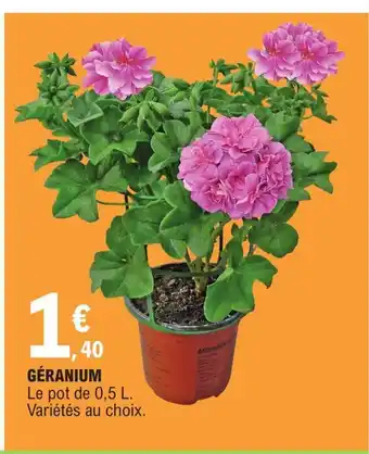 E.Leclerc Géranium offre