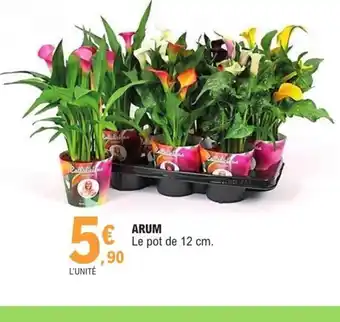 E.Leclerc Arum offre