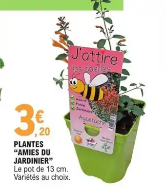 E.Leclerc Plantes "Amies Du Jardinier" offre