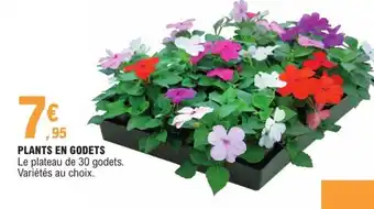 E.Leclerc Plants En Godets offre