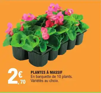E.Leclerc Plantes A Massif offre