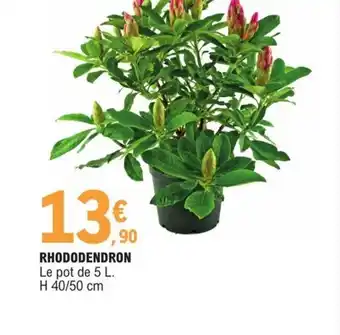 E.Leclerc Rhododendron offre