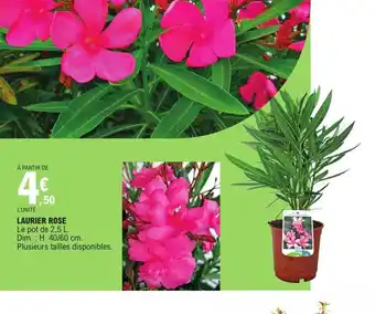 E.Leclerc Laurier Rose offre