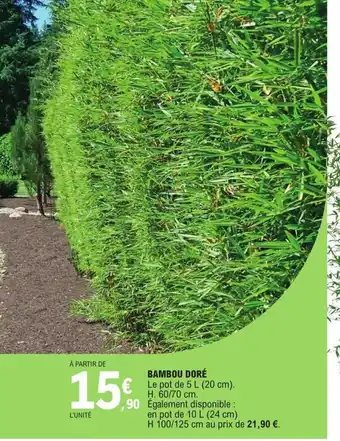 E.Leclerc Bambou Doré offre