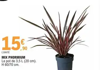 E.Leclerc Mix Phormium offre