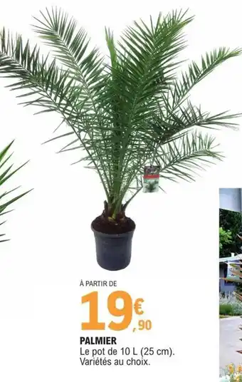 E.Leclerc Palmier offre