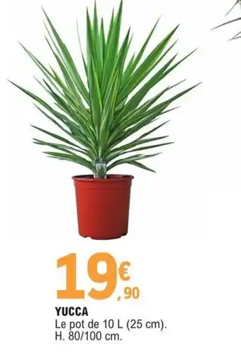 E.Leclerc Yucca offre