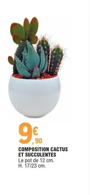 Composition Cactus Et Succulentes