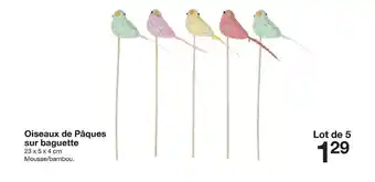 Oiseaux De Pâques Sur Baguette