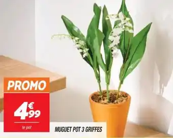 Netto Muguet pot 3 griffes offre