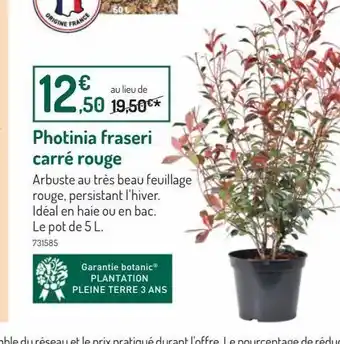 Botanic Photinia fraseri carre rouge offre