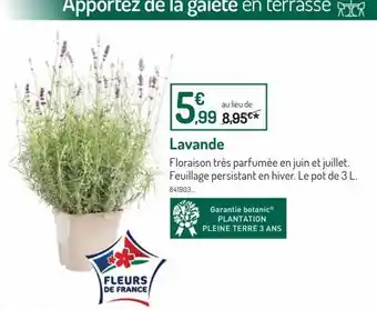 Botanic Lavande offre