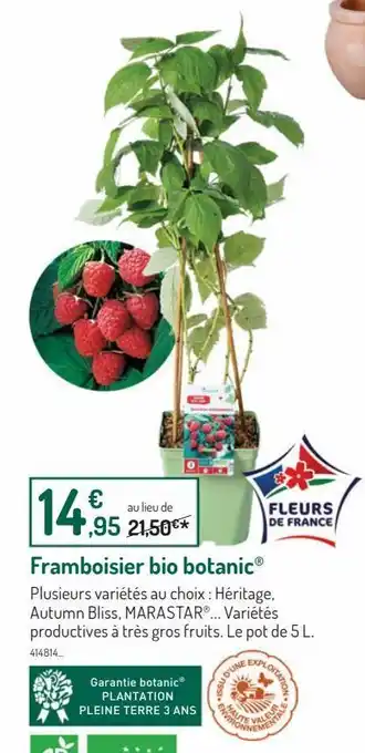 Botanic Framboisier bio botanic offre