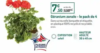 Botanic Geranium zonale- le pack de 4 offre