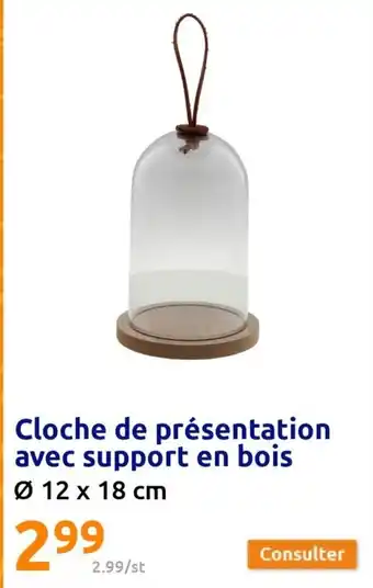 Action Cloche de presentation avec support en bois offre