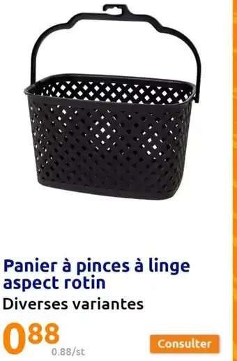 Action Panier a pinces a linge aspect rotin offre