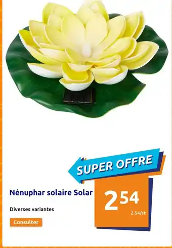 Action Nenuphar solaire solar offre