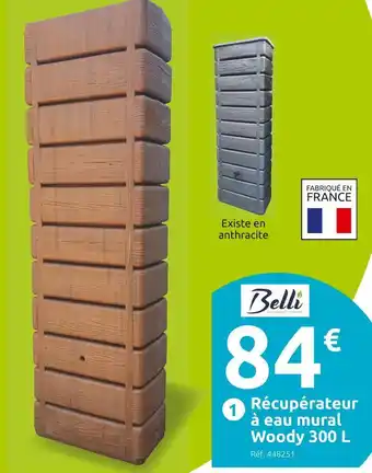 Mr Bricolage Belli récupérateur d’eau mural woody 300 l offre