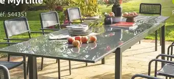 Mr Bricolage Table extensible myrtille offre