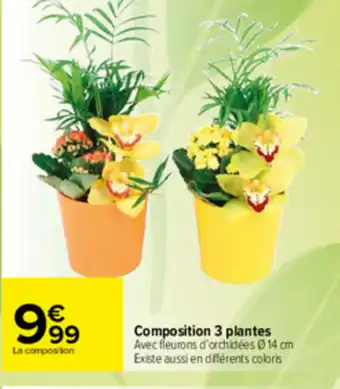 Carrefour Composition 3 Plantes offre