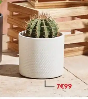 Gifi Cache -pot offre