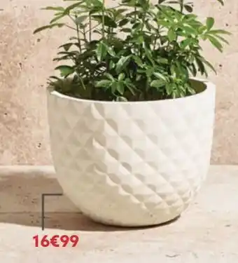 Gifi Cache-pot offre