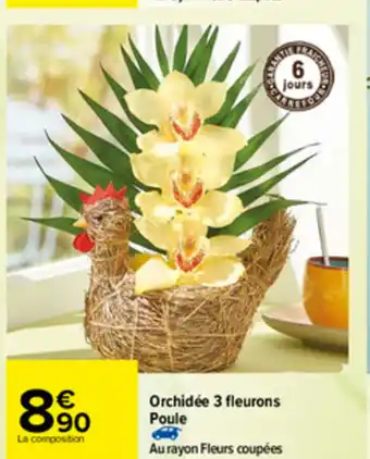 Carrefour Orchidée 3 Fleurons Poule offre