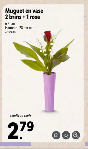Lidl Muguet en vase 2 brins + 1 rose offre