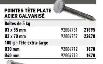 Brico Cash Pointes Tête Plate Acier Galvanisé offre