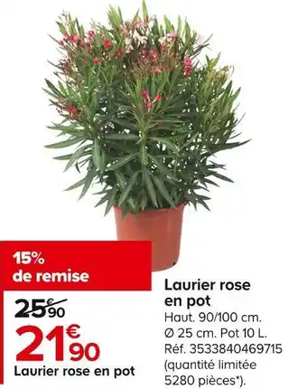 Castorama Laurier rose en pot offre