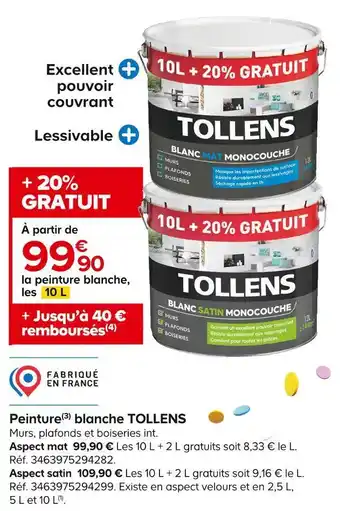 Castorama Tollens peinture(3) blanche offre