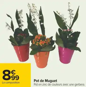 Carrefour Pot de muguet offre