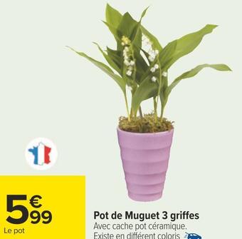 Carrefour Pot de muguet 3 griffes offre