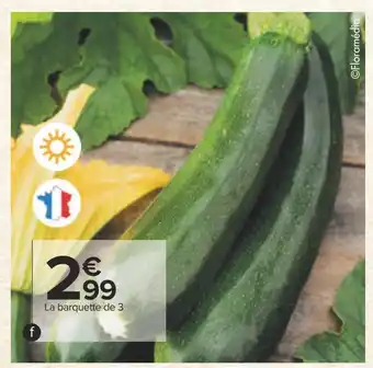 Carrefour Plants de légumes offre