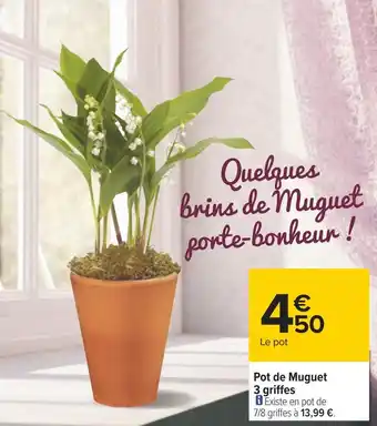 Carrefour Pot de muguet 3 griffes offre