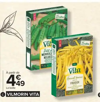 Carrefour Vilmorin vita semence de haricots offre