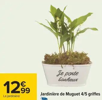 Carrefour Jardinière de muguet 4/5 griffes offre