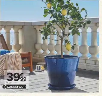 Carrefour Carrefour pot varna émaillé bleu offre