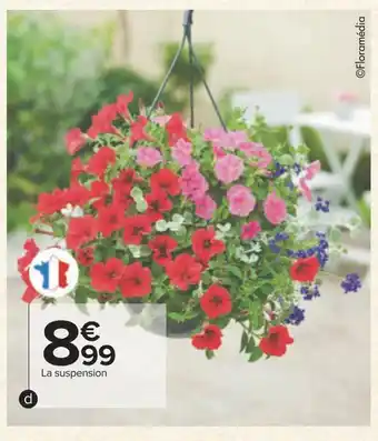 Carrefour Suspension fleurie offre