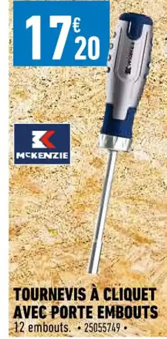 Tournevis Ă Cliquet Avec Porte Embouts