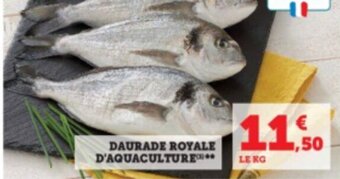 Super U Daurade royale d'aquaculture offre