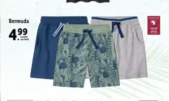 Lidl Bermuda offre