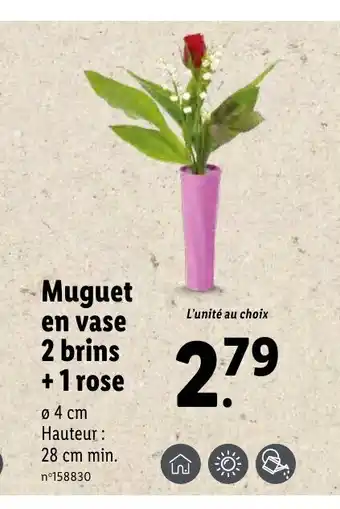 Lidl Muguet en vase 2 brins +1 rose offre