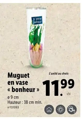 Lidl Muguet en vase bonheur offre