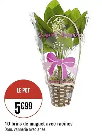 Casino Supermarchés 10 brins de muguet avec racines offre