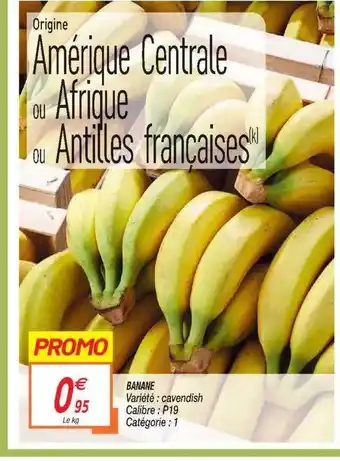 Banane Cavendish
