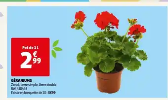 Auchan Geraniums offre