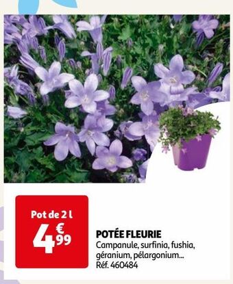 Auchan Potée fleurie offre